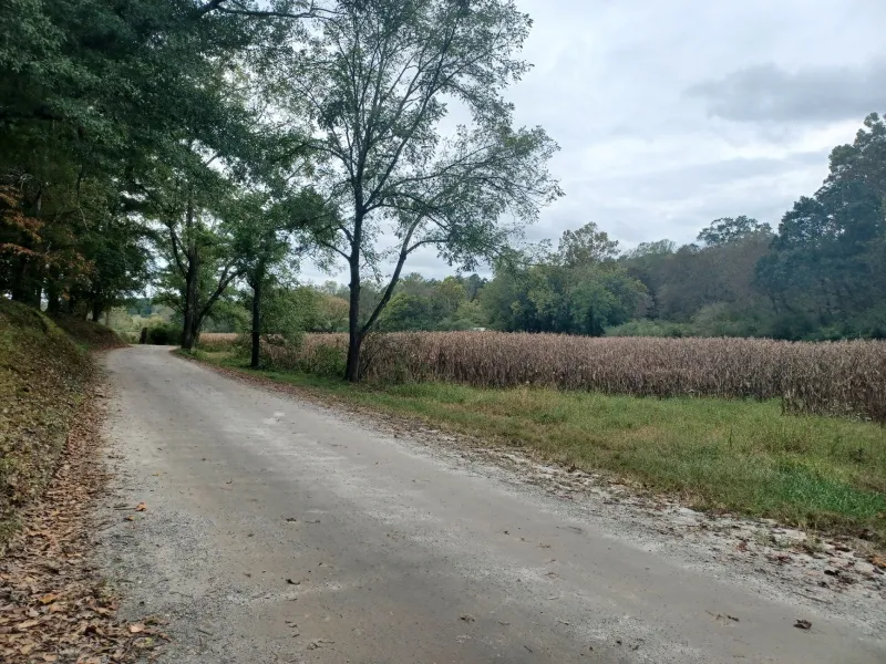 No City Pipes? No Problem: The Rural Buyer's Guide to Inspecting Toomsboro Homes Off the Grid